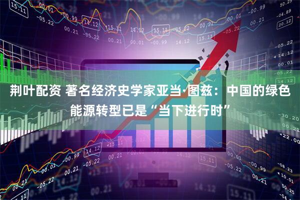 荆叶配资 著名经济史学家亚当·图兹：中国的绿色能源转型已是“当下进行时”