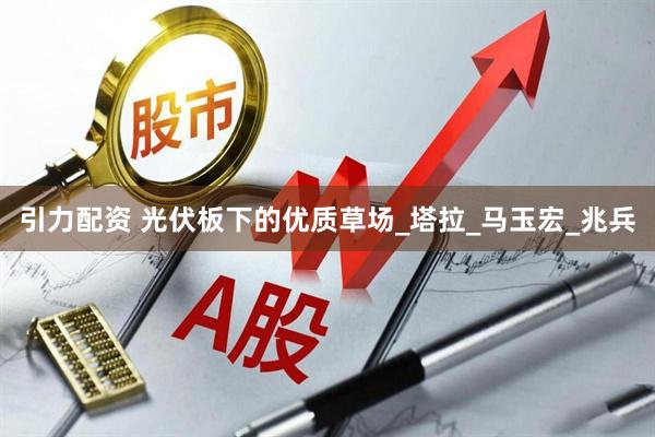 引力配资 光伏板下的优质草场_塔拉_马玉宏_兆兵