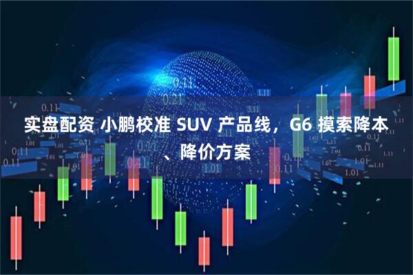实盘配资 小鹏校准 SUV 产品线，G6 摸索降本、降价方案