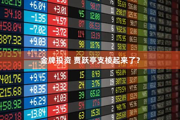 金牌投资 贾跃亭支棱起来了？